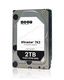 Western Digital Ultrastar DC HA210 HDD 3.5 Western Digital Ultrastar DC HA210 HDD 3.5