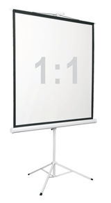 Экран на штативе Digis DSKD-1105