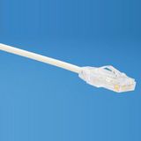 Патч-корд малого диаметра с модульными разъёмами RJ-45 Pan-Plug&trade; на обоих концах PANDUIT UTP28X5M (4, 7мм)&nbsp;<img style='position: relative;margin:0' src='/image/only_to_order_edit.gif' alt='На заказ' title='На заказ' />