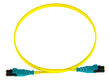 PANDUIT F92ELQ1Q1SNM002 Волоконно-оптический патч-корд LC-LC Push-Pull PANDUIT F92ELQ1Q1SNM002 Волоконно-оптический патч-корд LC-LC Push-Pull
