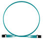 PANDUIT FZ2ELLNLNSNM002 Патч-корд многомодовый 50/125 (ОМ4)