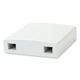 Hyperline FO-WB86-FTTH-2UN-WH Оптическая абонентская розетка (без адаптера) Hyperline FO-WB86-FTTH-2UN-WH Оптическая абонентская розетка (без адаптера)