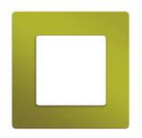 Рамка 1 пост LEGRAND 672541