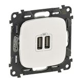 Модуль зарядного устройства 2х USB LEGRAND 754995&nbsp;<img style='position: relative;margin:0' src='/image/only_to_order_edit.gif' alt='На заказ' title='На заказ' />