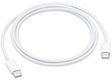 Apple USB-C Charge Cable (1 m) Apple USB-C Charge Cable (1 m)