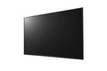 LG 55UT640S