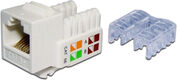 LANMASTER
Модуль RJ45