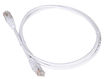 LANMASTER
Патч-корд TWT UTP кат.5e LANMASTER
Патч-корд TWT UTP кат.5e