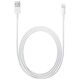 Apple Lightning to USB Charge & Sync Cable 2 Meter (White)