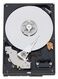 Western Digital HDD SATA-III 1000Gb (1Tb) Blue WD10EZEX Western Digital HDD SATA-III 1000Gb (1Tb) Blue WD10EZEX