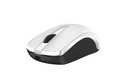 Мышь Genius беспроводная ECO-8100 белая (White)