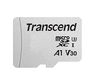 Флеш-накопитель Transcend 4GB microSD w/o adapter Class10