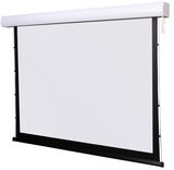 Экран настенный с электроприводом Digis DSTP-16905 (TAB-Tension, формат 16:9, 120", 271x184, рабочая поверхность 265x149, MW)&nbsp;<img style='position: relative;margin:0' src='/image/only_to_order_edit.gif' alt='На заказ' title='На заказ' />