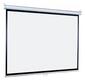 Настенный экран Lumien Eco Picture 164х240см (рабочая область 130х232 см) MW восьмигранный корпус
