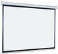 Настенный экран Lumien Eco Picture 142х200см (рабочая область 109х194 см) MW восьмигранный корпус