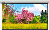 Экран с электроприводом Lumien Master Large Control 286x488 см (раб. область 269х478 см 216") LMLC-100115