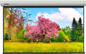 Экран с электроприводом Lumien Master Large Control 320x495 см (раб. область 485x303 см 225