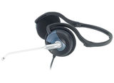 Genius Headset HS-300N 31710146100&nbsp;<img style='position: relative;margin:0' src='/image/only_to_order_edit.gif' alt='На заказ' title='На заказ' />