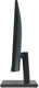 23,8'' Philips 245E1S 2560x1440 75Гц IPS W-LED 16:9 4ms(GtG) VGA HDMI DP 50M:1 1000:1 178/178 250cd Tilt AMD Adaptive-Sync Black 23,8'' Philips 245E1S 2560x1440 75Гц IPS W-LED 16:9 4ms(GtG) VGA HDMI DP 50M:1 1000:1 178/178 250cd Tilt AMD Adaptive-Sync Black