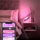 Светильник Philips Hue Светильник Hue Iris в розовом копрусе - лимитировання серия только Q4'20 Hue Iris gen4 EU/UK rose
