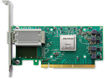 Mellanox MCX555A-ECAT