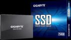 Gigabyte SSD GP-GSTFS31256GTND Gigabyte SSD GP-GSTFS31256GTND