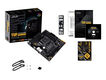 ASUS TUF GAMING B550M-PLUS