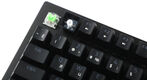 Razer BlackWidow V3 Tenkeyless