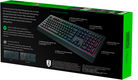 Razer Cynosa V2