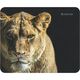 Defender Wild Animals