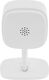 TP-Link Tapo C100 TP-Link Tapo C100