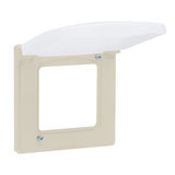 Рамка с защитной крышкой IP 44 LEGRAND 673921