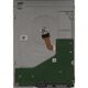 Жесткий диск Seagate ST10000VE001