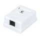 Cabeus WS-8P8C-Cat.5e-1 Розетка компьютерная RJ-45 Cabeus WS-8P8C-Cat.5e-1 Розетка компьютерная RJ-45