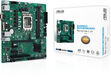 ASUS PRO H610M-C D4-CSM