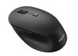 Philips SPK7507 Wireless Mouse Philips SPK7507 Wireless Mouse