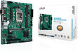 ASUS PRO H610M-C-CSM