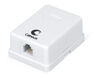 Cabeus WS-6P4C-TEL-1 Розетка телефонная RJ-12(6P4C) Cabeus WS-6P4C-TEL-1 Розетка телефонная RJ-12(6P4C)