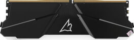 Netac Shadow RGB 16GB DDR4-3200 (PC4-25600) C16 Grey 16-20-20-40 1.35V XMP Memory module Netac Shadow RGB 16GB DDR4-3200 (PC4-25600) C16 Grey 16-20-20-40 1.35V XMP Memory module