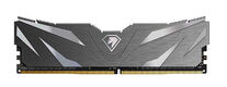 Netac Shadow II 16GB DDR4-2666 (PC4-21300) C19 Black 19-19-19-43 1.2V Memory module