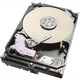 Western Digital Ultrastar DC HC330 10Tb (WUS721010ALE6L4)