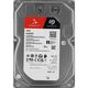 Seagate ST10000VN000 Seagate ST10000VN000