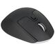 Мышь беспроводная Logitech M720 Triathlon (1000dpi, Bluetooth, 2.4 GHz/USB-ресивер (Logitech Unifying®) Мышь беспроводная Logitech M720 Triathlon (1000dpi, Bluetooth, 2.4 GHz/USB-ресивер (Logitech Unifying®)