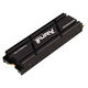 Kingston SFYRSK/1000G