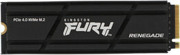 Kingston SFYRDK/4000G