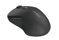 Мышь беспроводная Dareu LM115G Black (черный) Мышь беспроводная Dareu LM115G Black (черный)