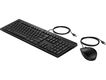 Keyboard and Mouse HP 225 Wired (black) ENG