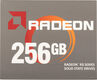 AMD SSD 256GB Radeon R5 R5SL256G {SATA3.0