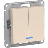 Schneider Electric
Schneider-electric ATN000253 ATLASDESIGN 2-клавишный ВЫКЛЮЧАТЕЛЬ с подсветкой