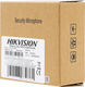 HIKVISION DS-2FP2020 Микрофон активный миниатюрный